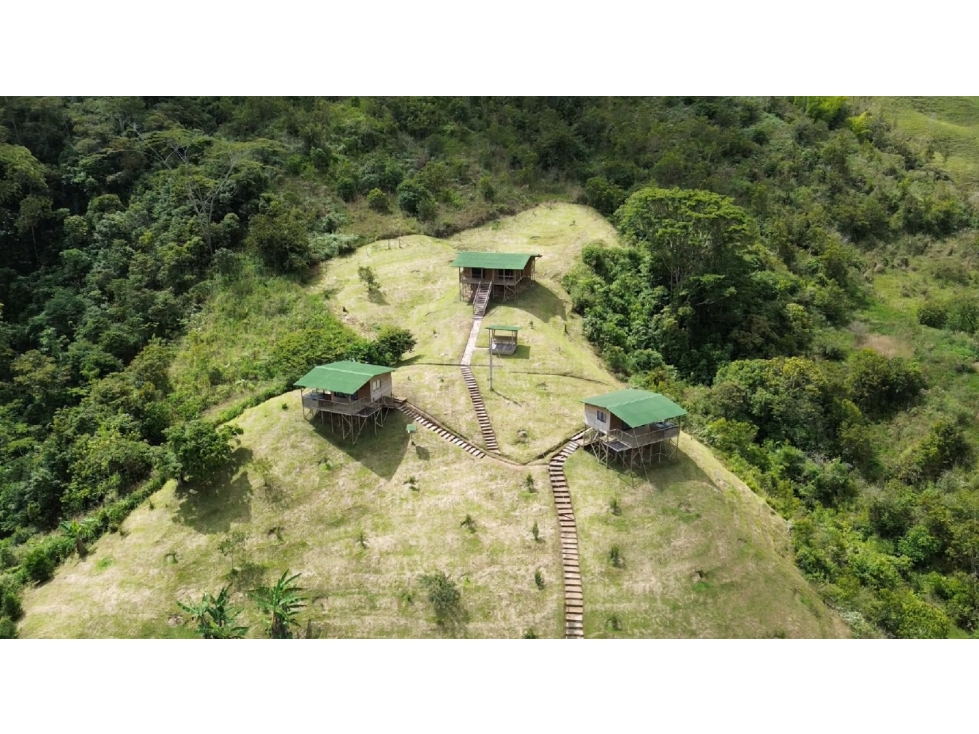 Finca en Alejandría- en venta - 1