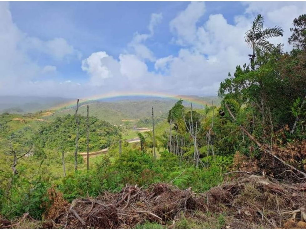 LOTE EN GUATAPE- VENTA