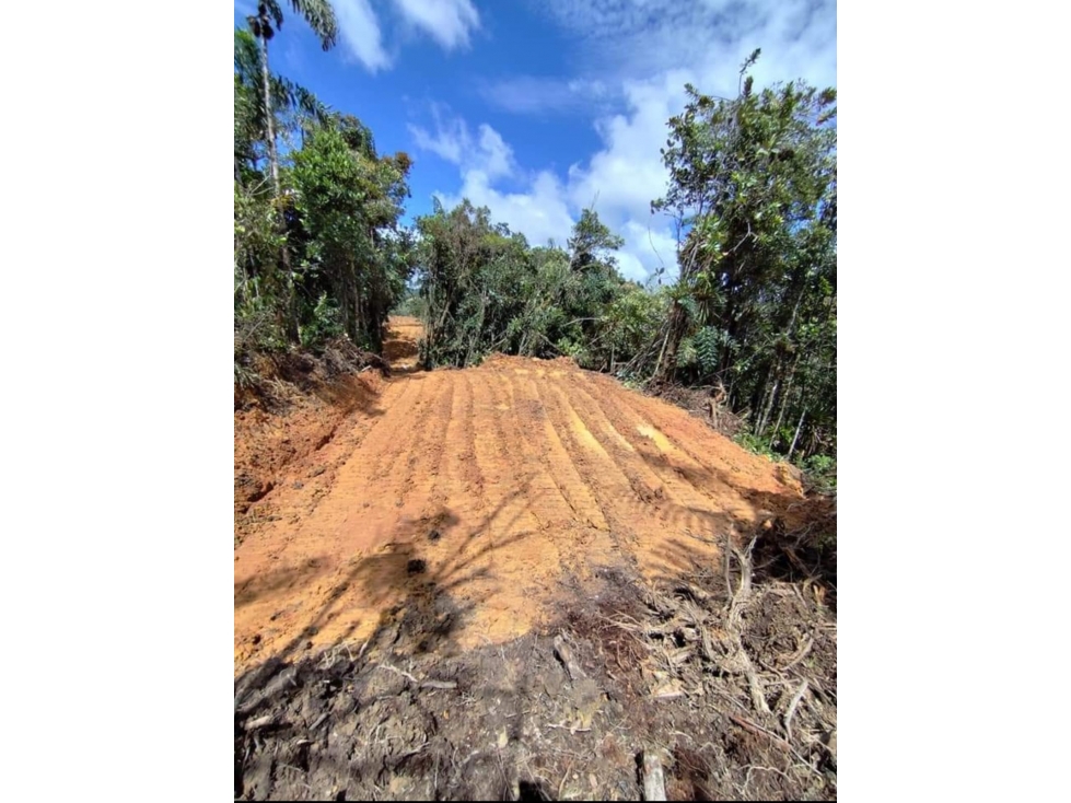 LOTE EN GUATAPE- VENTA — foto 5