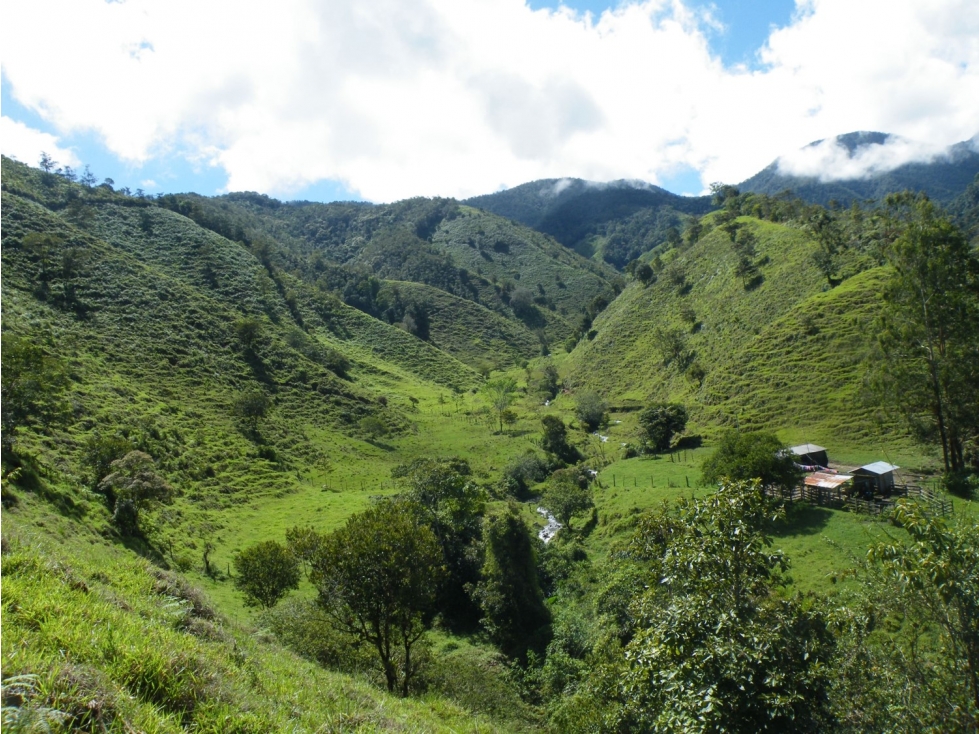 Finca En Abriaqui, Antioquia - Venta - 6