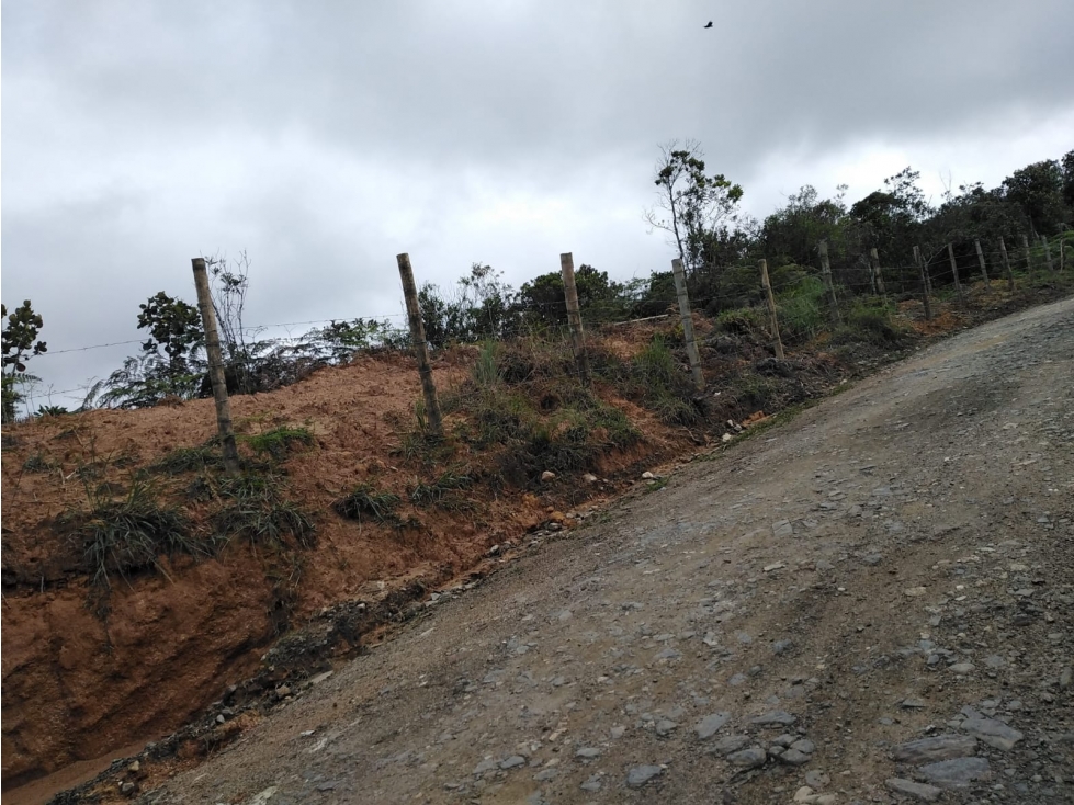 Lote En San Vicente Ferrer Vereda Peñolcito - Se Vende — foto 5