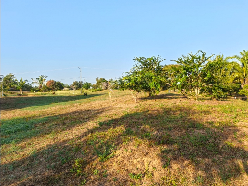 Lotes en San Antero Córdoba - en venta - 2