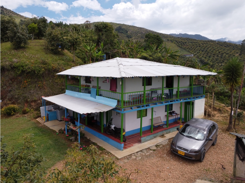 Finca en Aguadas Caldas - Se vende - 3
