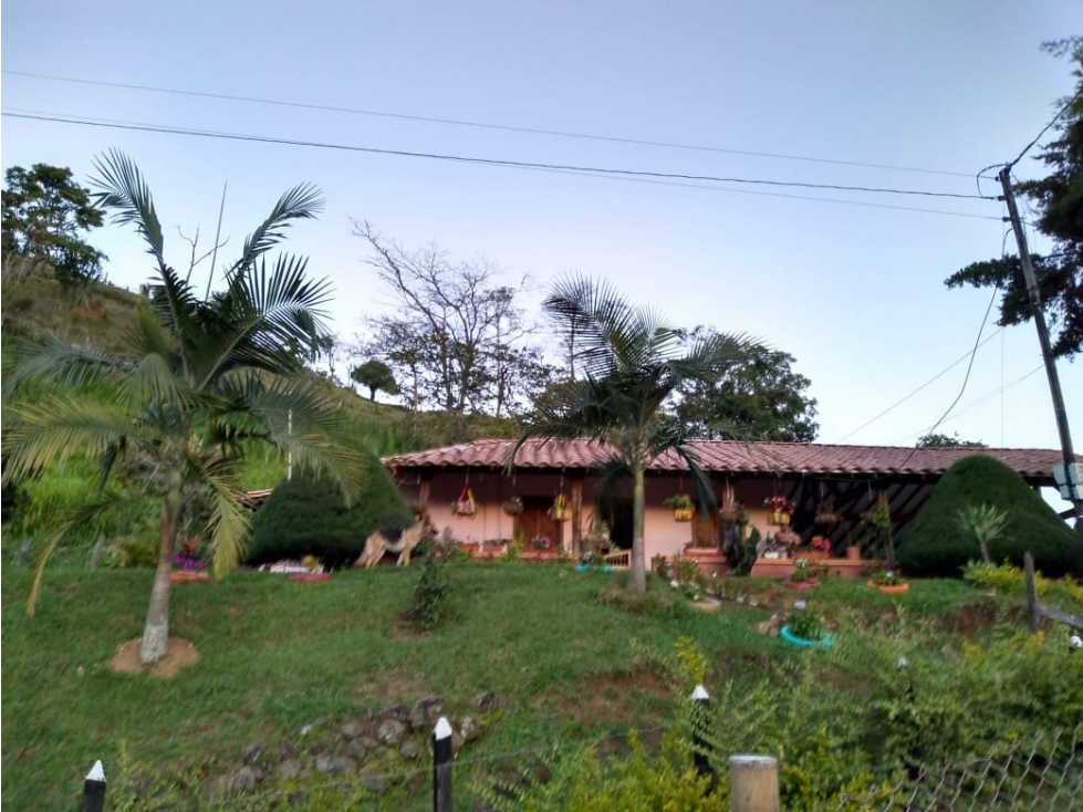 Finca en Fredonia - En Venta - 5