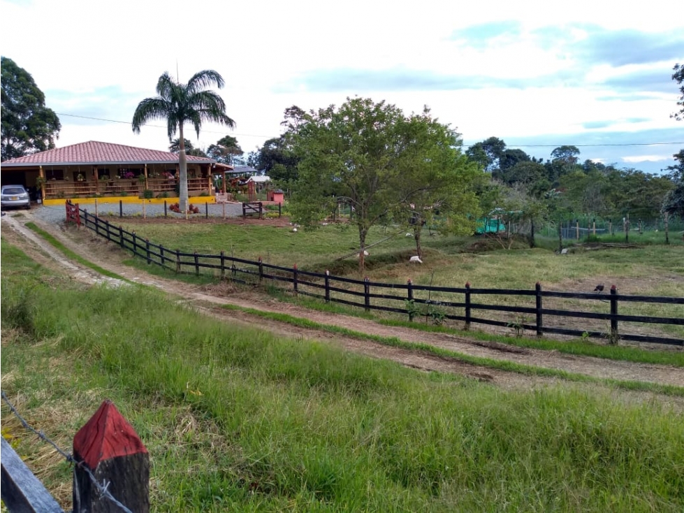 Finca en Fredonia - En Venta - 5