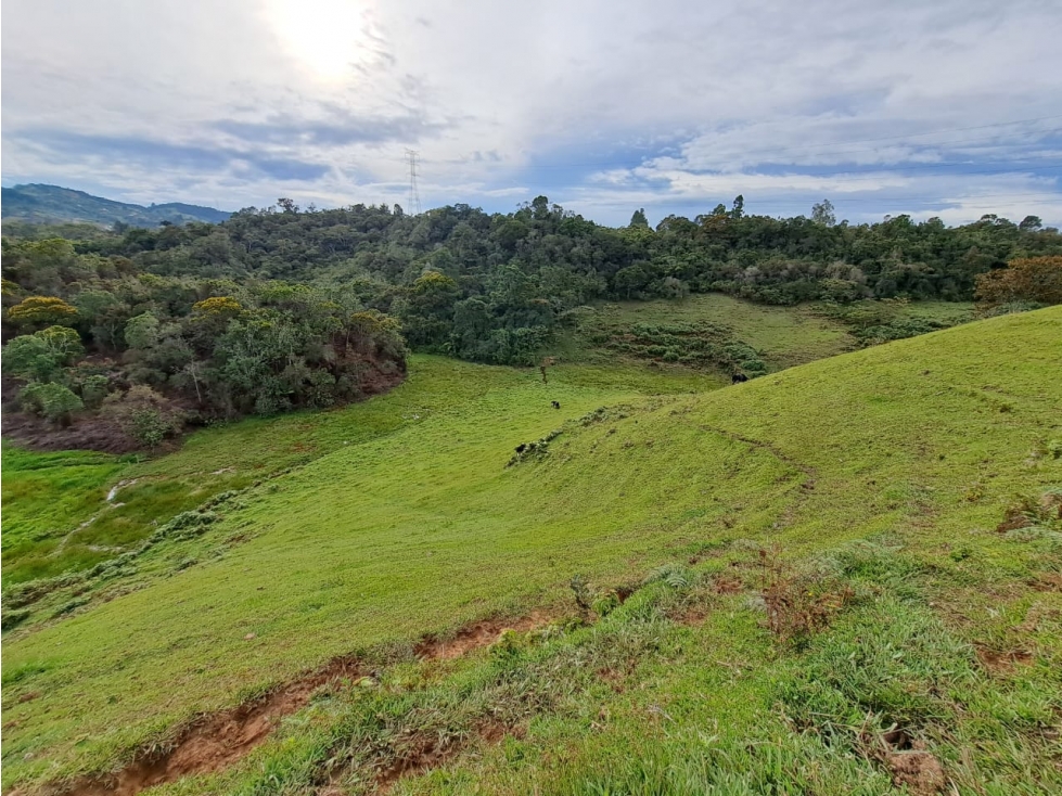 Lote en Santuario - En Venta — foto 4