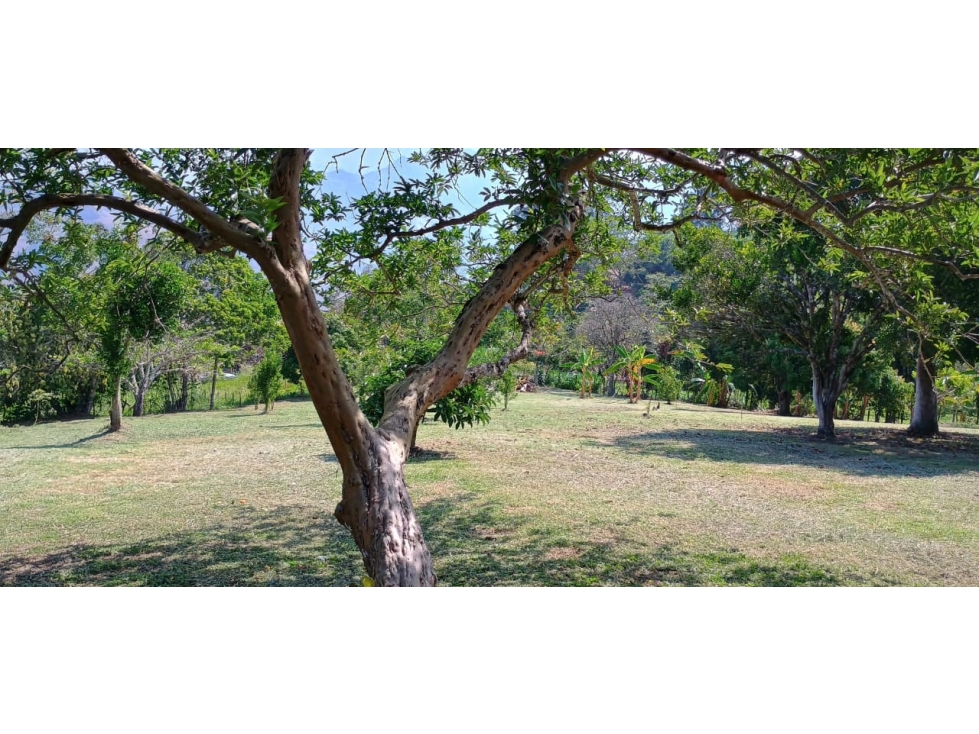 Lote en Titiribí Antioquia de 3.200 mts - Se vende - 5