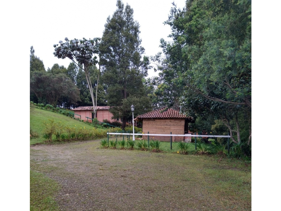 Finca en Santa Elena - en venta — foto 4