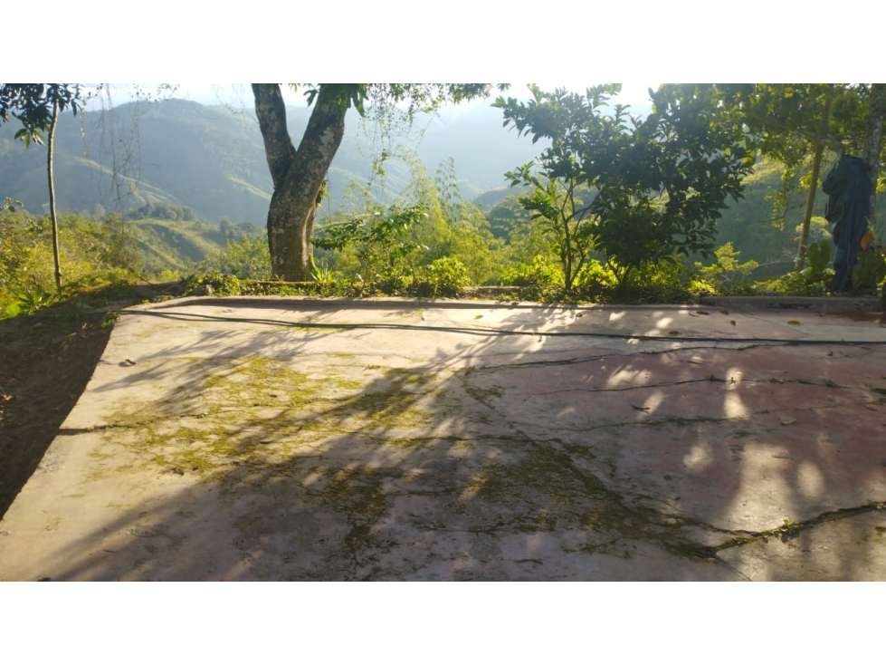 Finca en San Roque Antioquia - Se Vende - 5