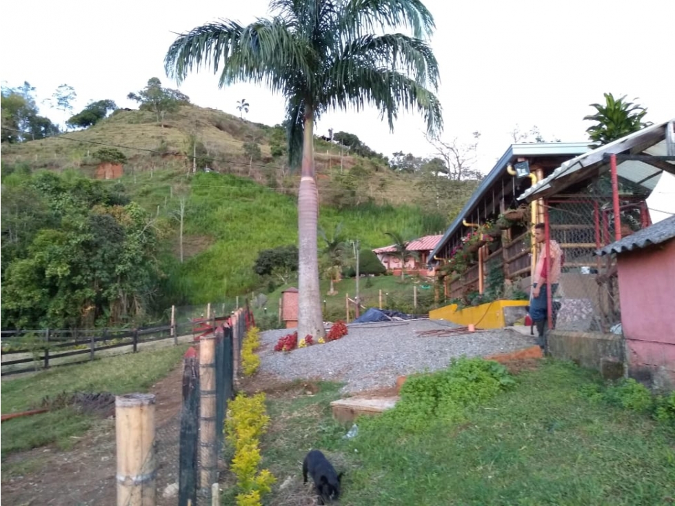 Finca en Fredonia - En Venta - 6