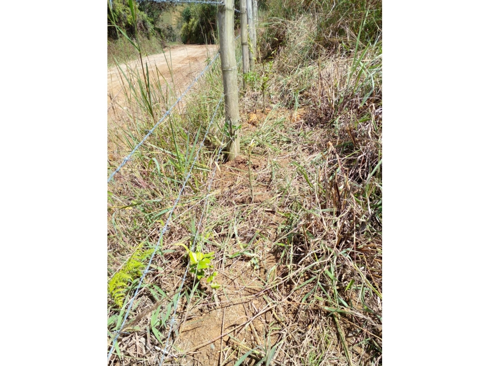 Lote En San Vicente Ferrer Vereda Peñolcito - Se Vende — foto 6