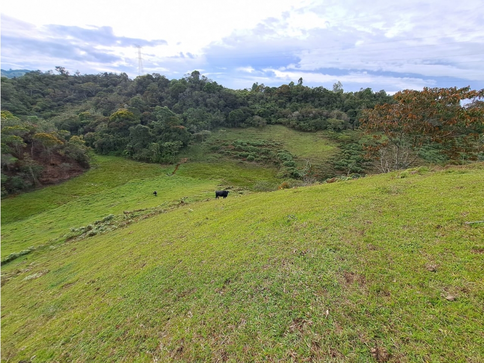Lote en Santuario - En Venta — foto 5