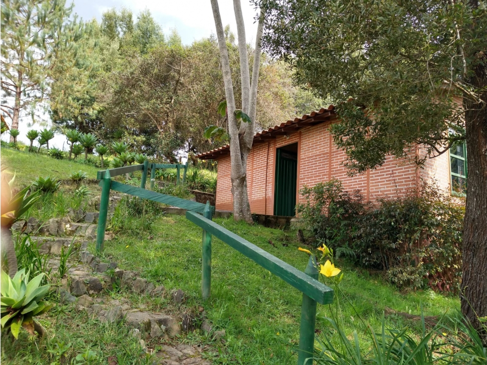 Finca en Santa Elena - en venta — foto 5