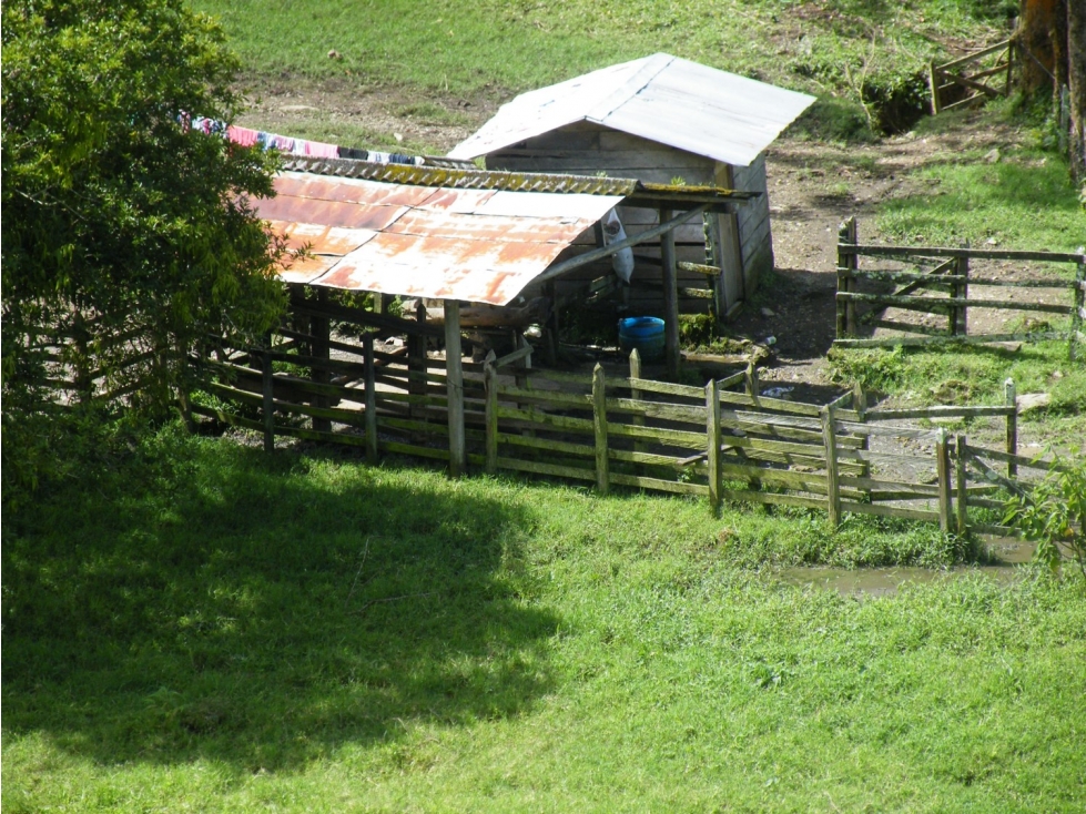 Finca En Abriaqui, Antioquia - Venta - 2