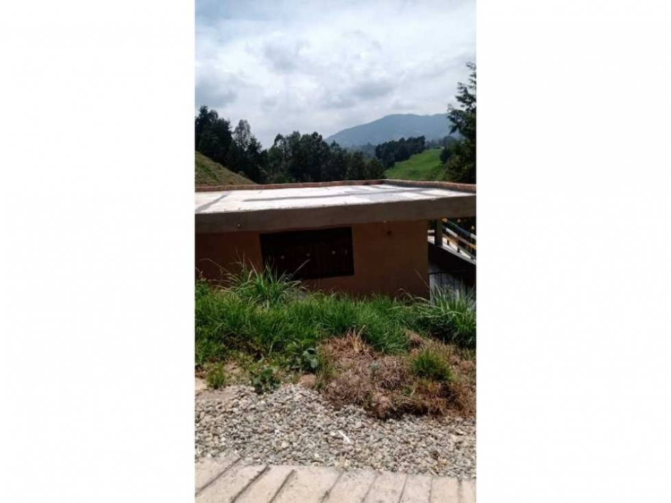 Finca en Bello La China - En Venta y/o Arriendo — foto 2
