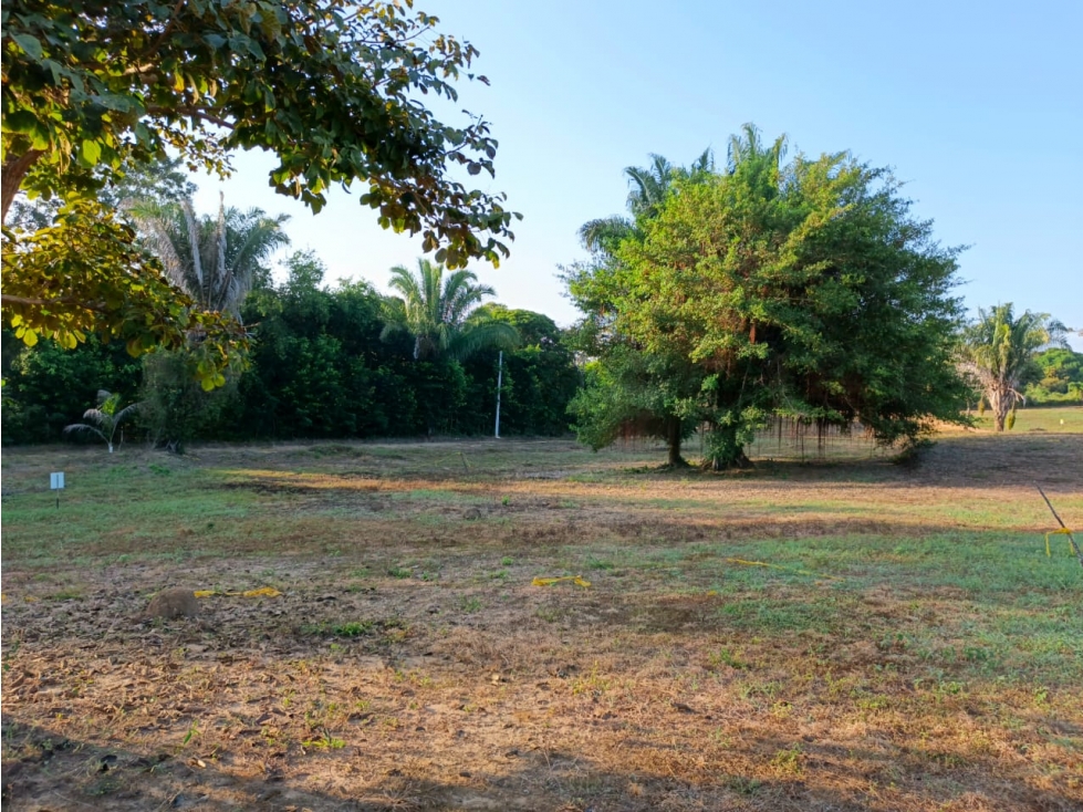 Lotes en San Antero Córdoba - en venta - 3