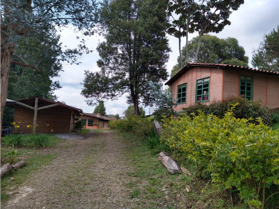 Finca en Santa Elena - en venta — foto 6