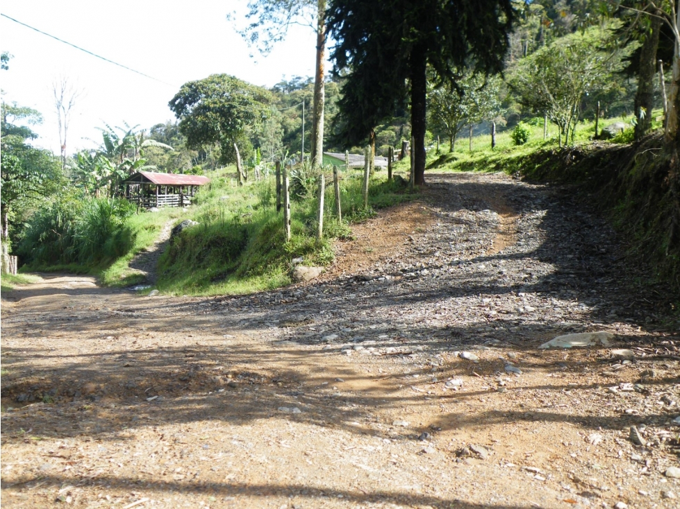 Finca En Abriaqui, Antioquia - Venta - 3