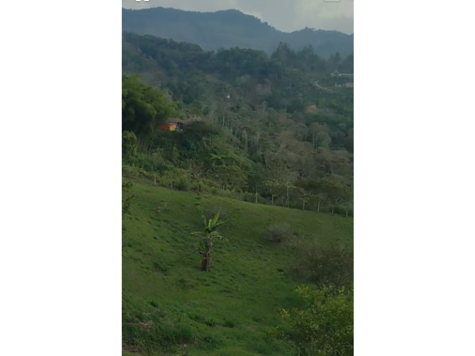 Cabaña En Guatapé - Se Vende - 2