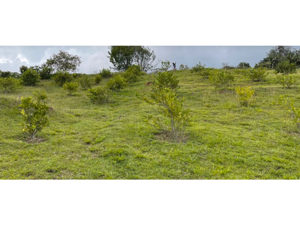 Lote en Copacabana - Se vende - 5