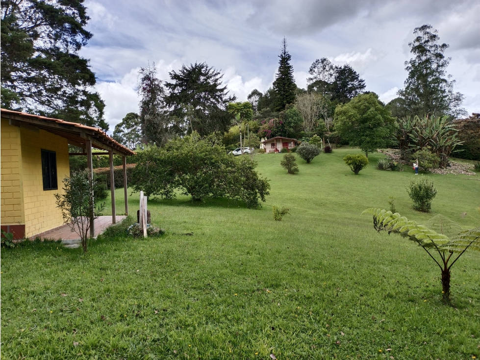 Lote en Llano Grande 4579 Metros cuadrados - En Venta — foto 4