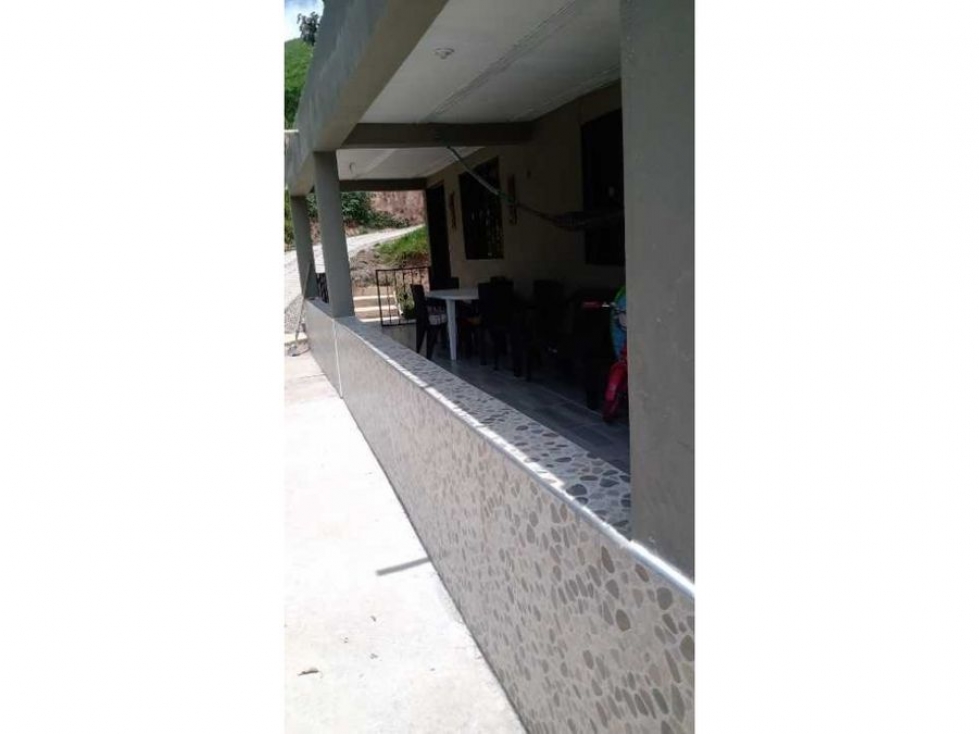 Finca en Bello La China - En Venta y/o Arriendo — foto 4