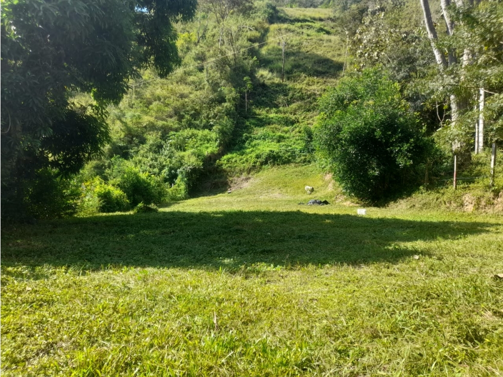 Lote en Santa Fe de Antioquia - Venta-permuta