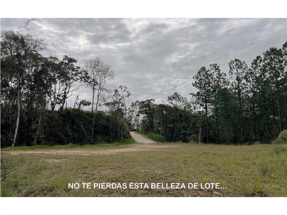 Venta lote Antioquia retiro parcelación vista bosque ganga rebajado — foto 4