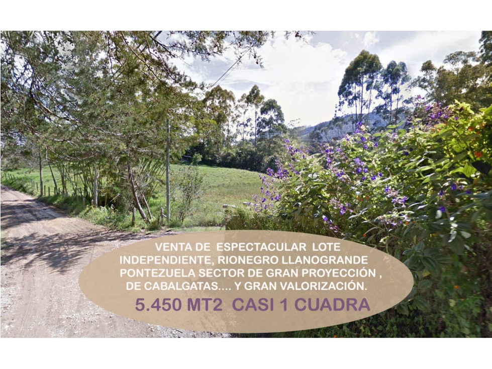 Venta lote independiente Rionegro llanogrande Ponezuela cabeceras