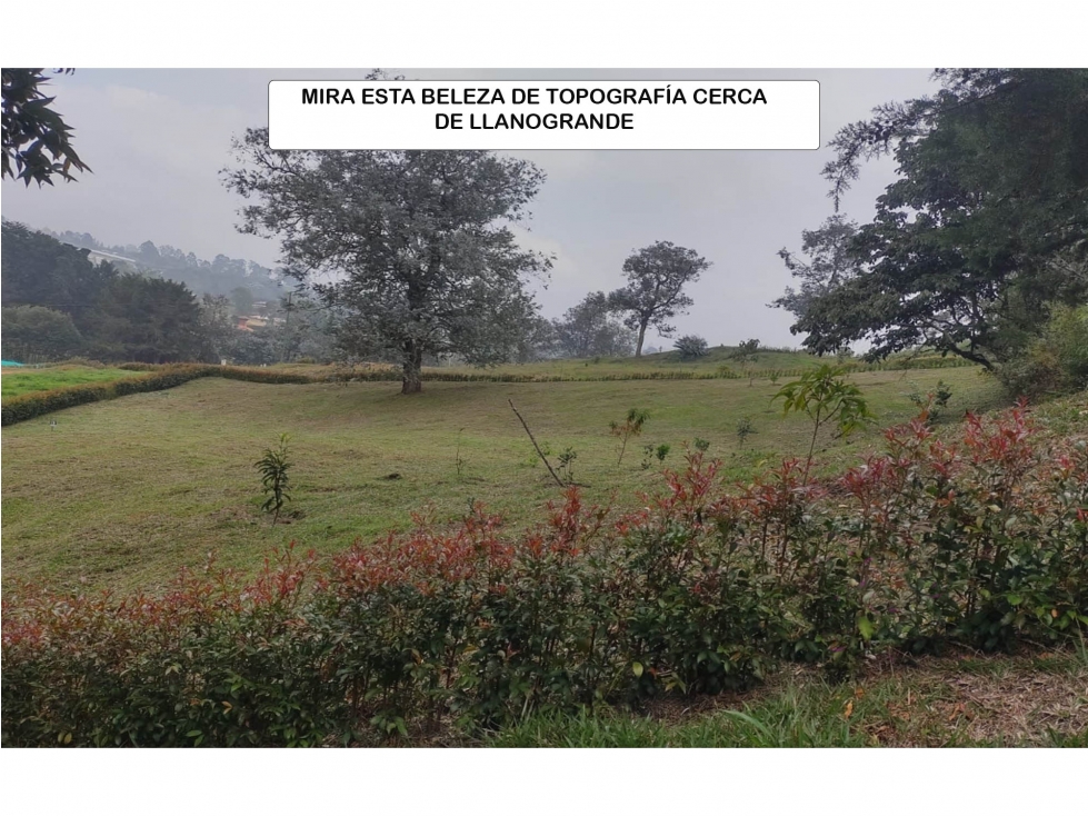 venta lote Antioquia Rionegro Llano grande parcelación exclusiva lujo — foto 6
