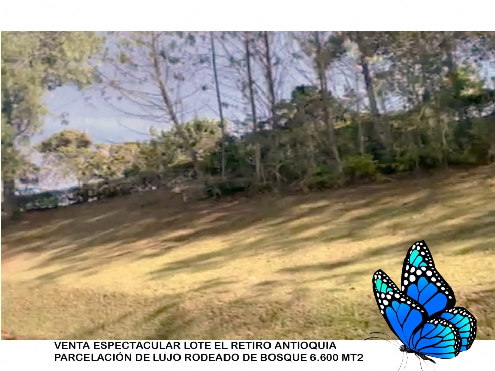 Venta lote antioquia retiro parcelación cerrada luxury 6600 m2 bosque
