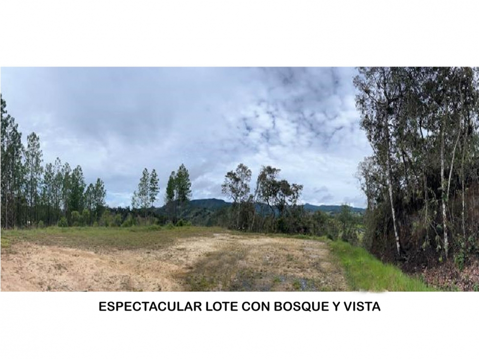 Venta lote Antioquia retiro parcelación vista bosque ganga rebajado — foto 3