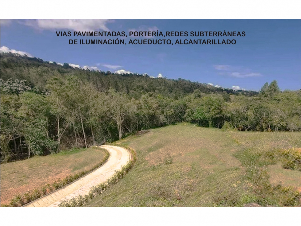 Venta lote Antioquia alto palmas variante no peaje parcelación bosque — foto 6