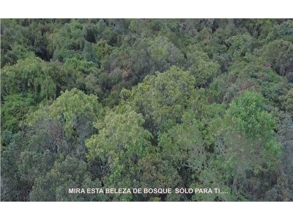 Venta lote Antioquia alto palmas variante no peaje parcelación bosque — foto 4