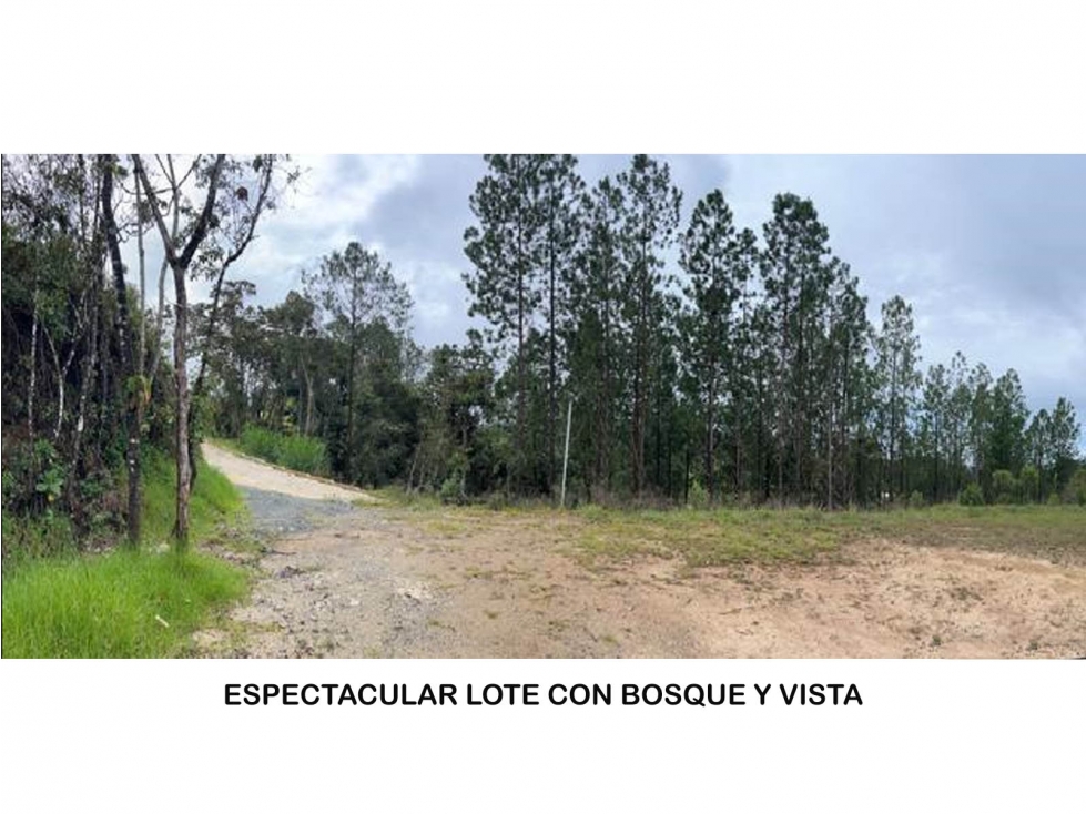 Venta lote Antioquia retiro parcelación vista bosque ganga rebajado — foto 6