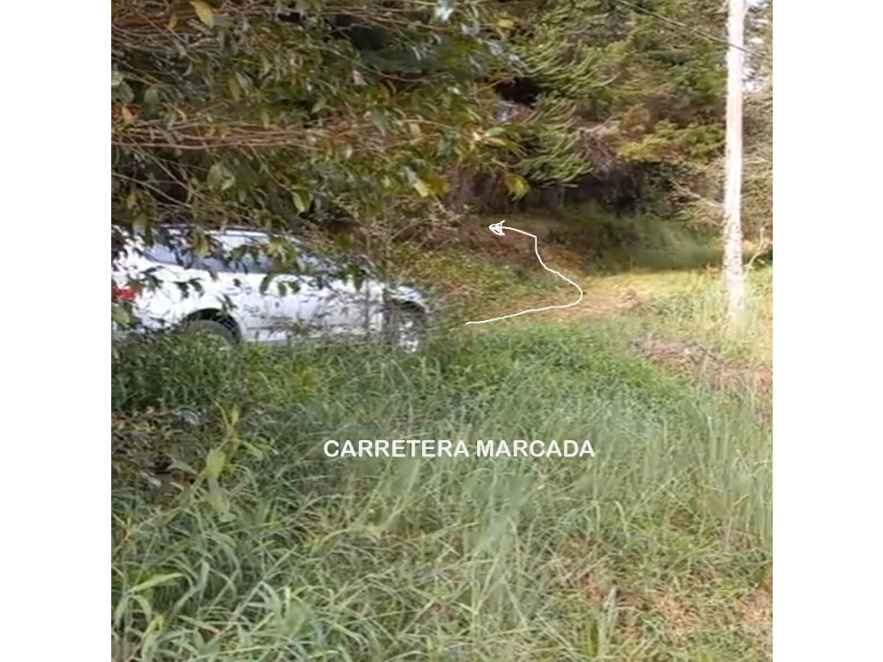Venta lote parcelación retiro fizebad vista represa la fe 13.780 m2 — foto 6
