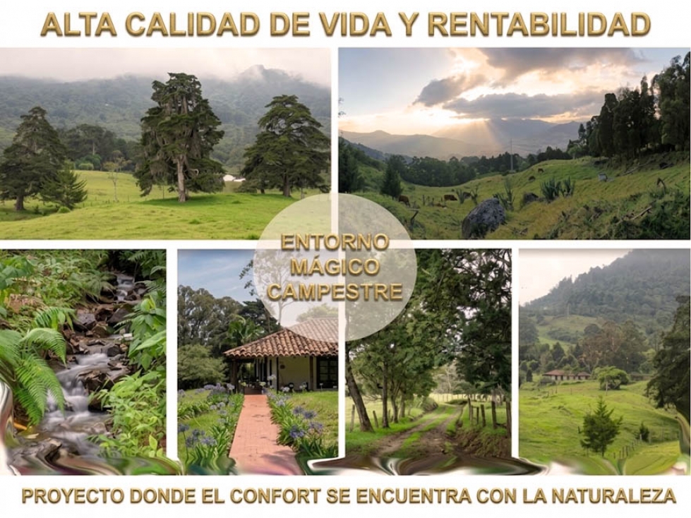 Venta lote parcelación Medellín poblado palmas exclusivo lujo luxury — foto 3