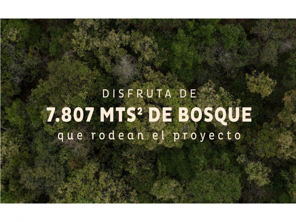 Venta lote Antioquia alto palmas variante no peaje parcelación bosque — foto 2