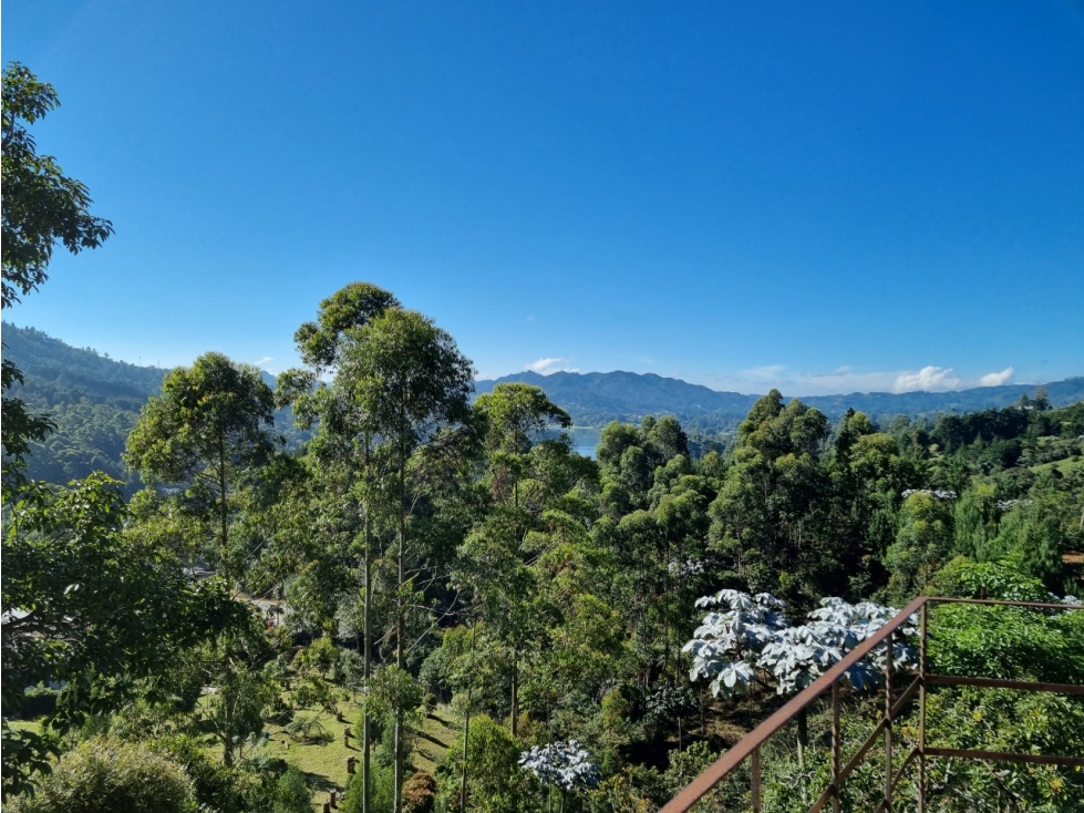 En VENTA casa campestre y lote de 22.262 mts -EL RETIRO- ANTIOQUIA. - 6