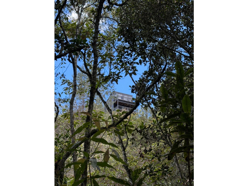 Casa en venta en Guarne: 3.000 m² de bosque protegido y vista natural