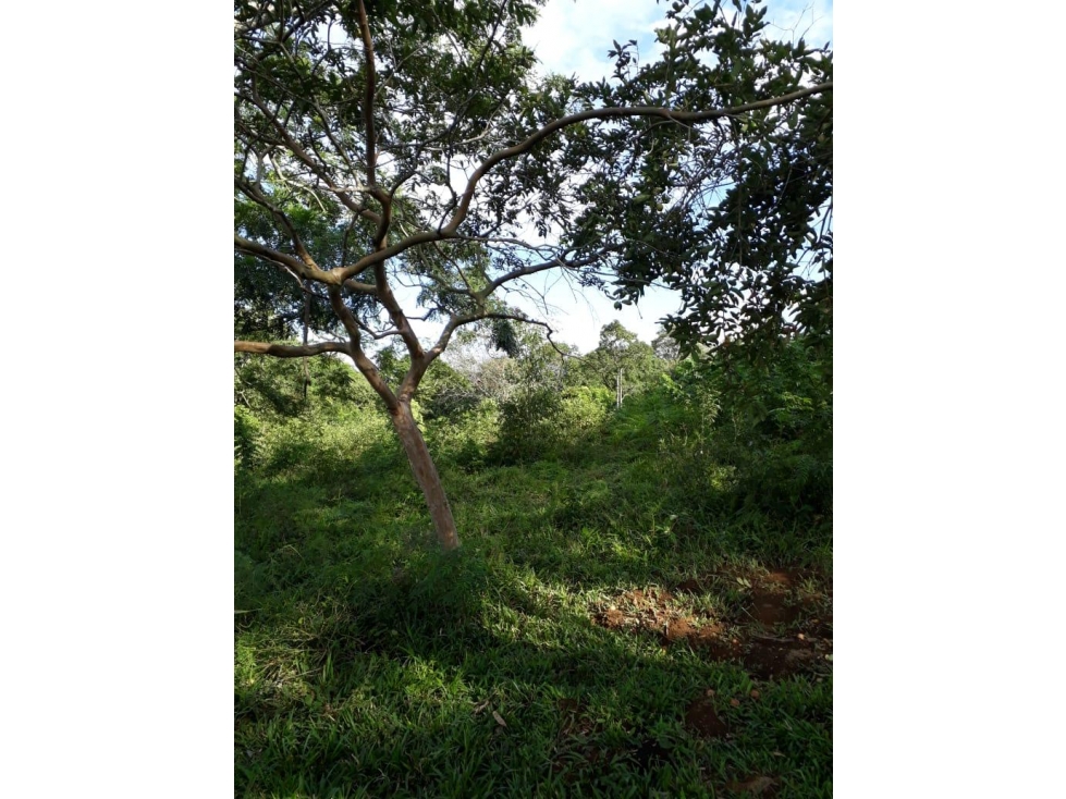 Lote en unidad cerrada. Caminos de Cartama. Tamesis - 4