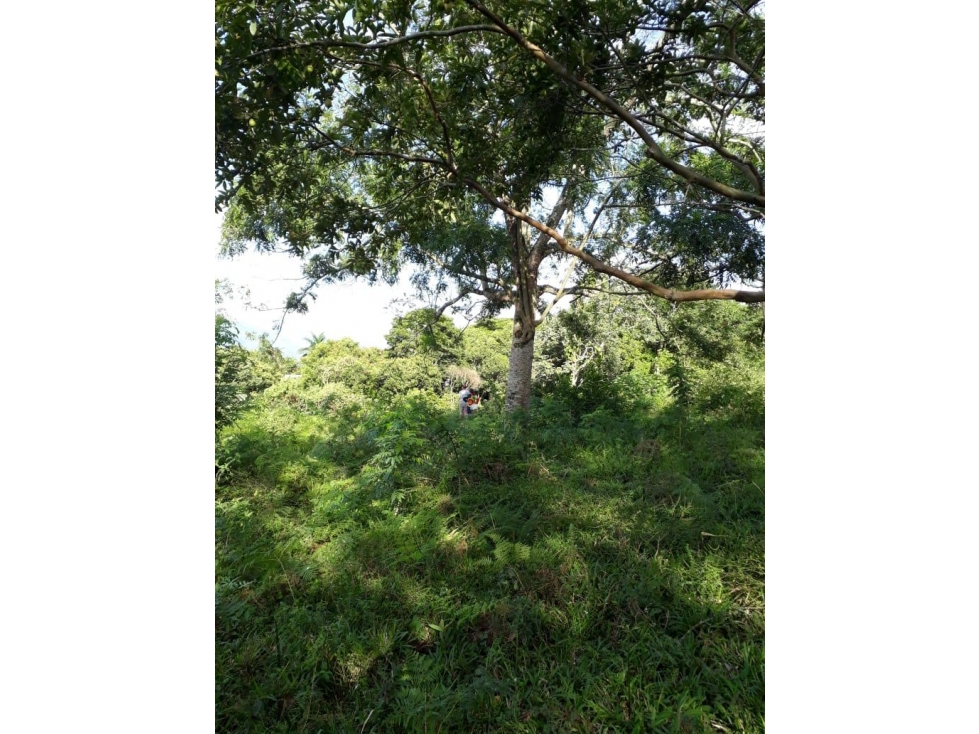 Lote en unidad cerrada. Caminos de Cartama. Tamesis - 5