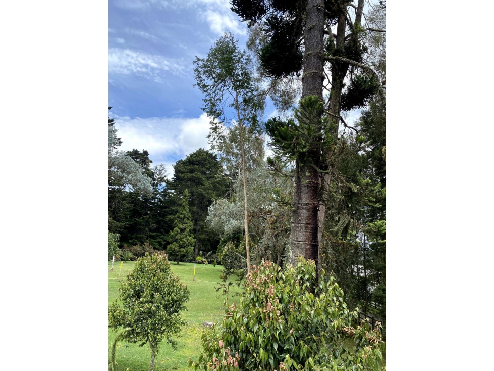 Venta Lote en Parcelación en el Alto de las Palmas. Indiana — foto 4