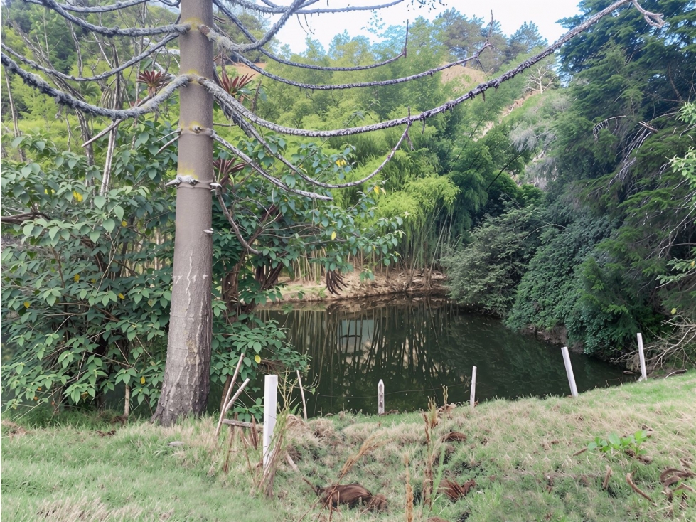 Lotes campestres en El Retiro desde 1.364 m² — foto 5