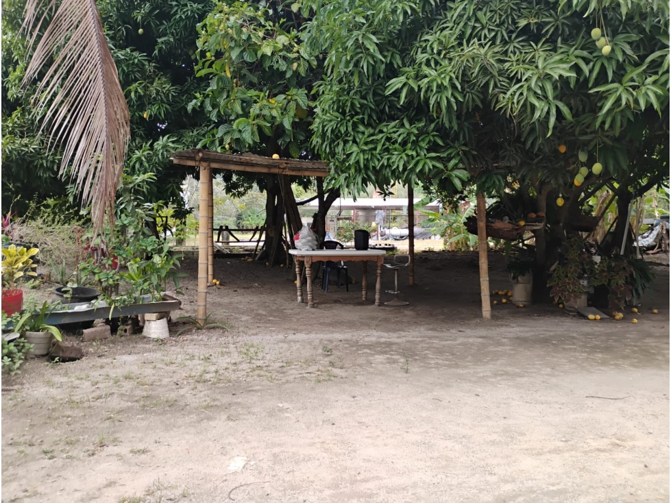 VENDO LOTE INDUSTRIAL CON OFICINA - 5