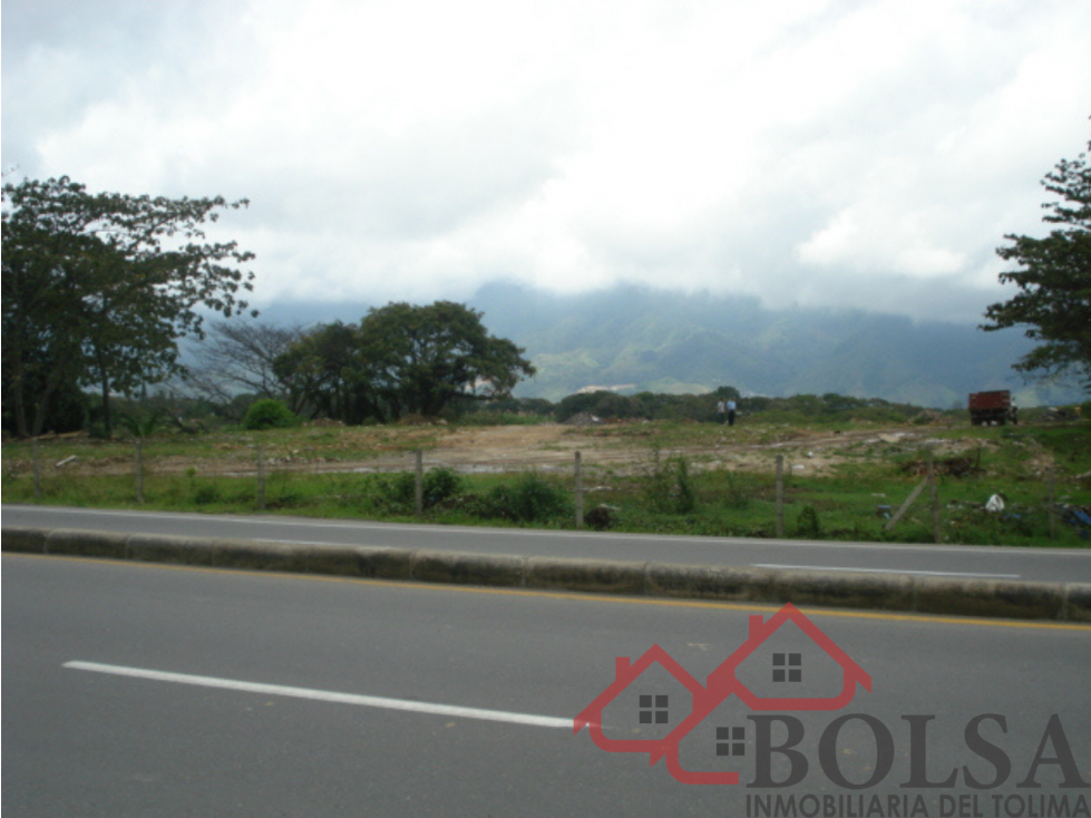 VENDO LOTE SECTOR PICALEÑA