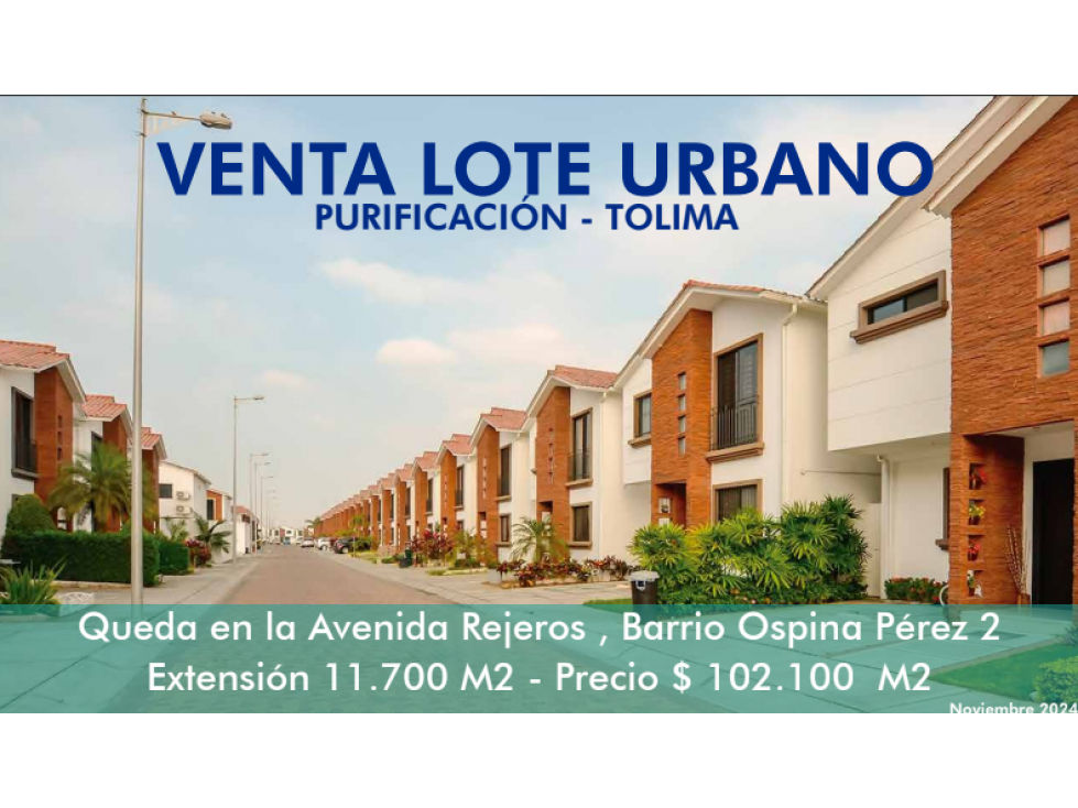 VENDO LOTE URBANO EN PURIFICACION - 1