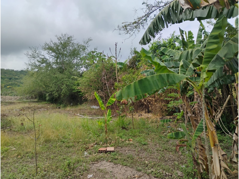 ARRIENDO LOTE INDUSTRIAL CON OFICINA - 6