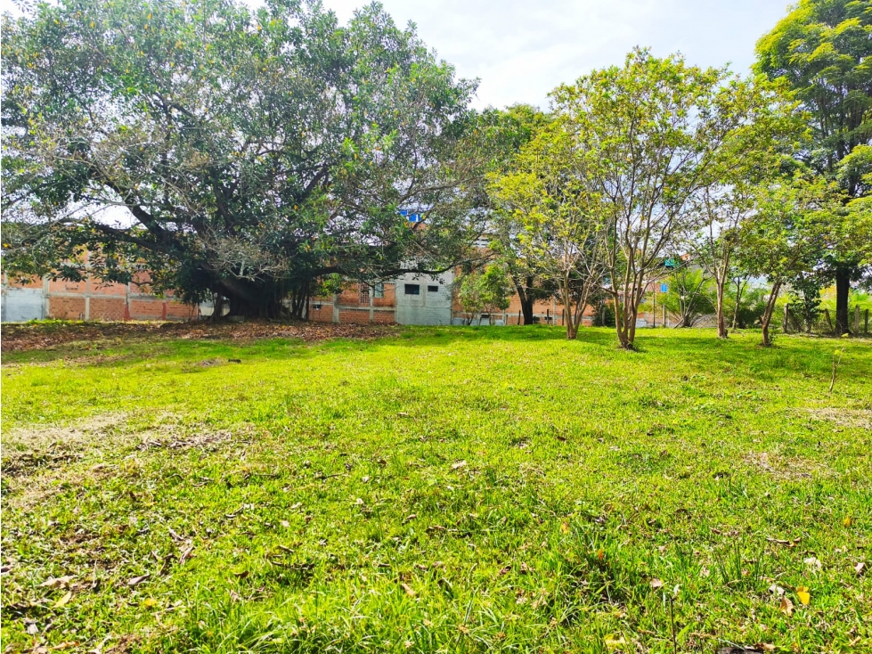 VENDO LOTE URBANO SECTOR SALADO — foto 5