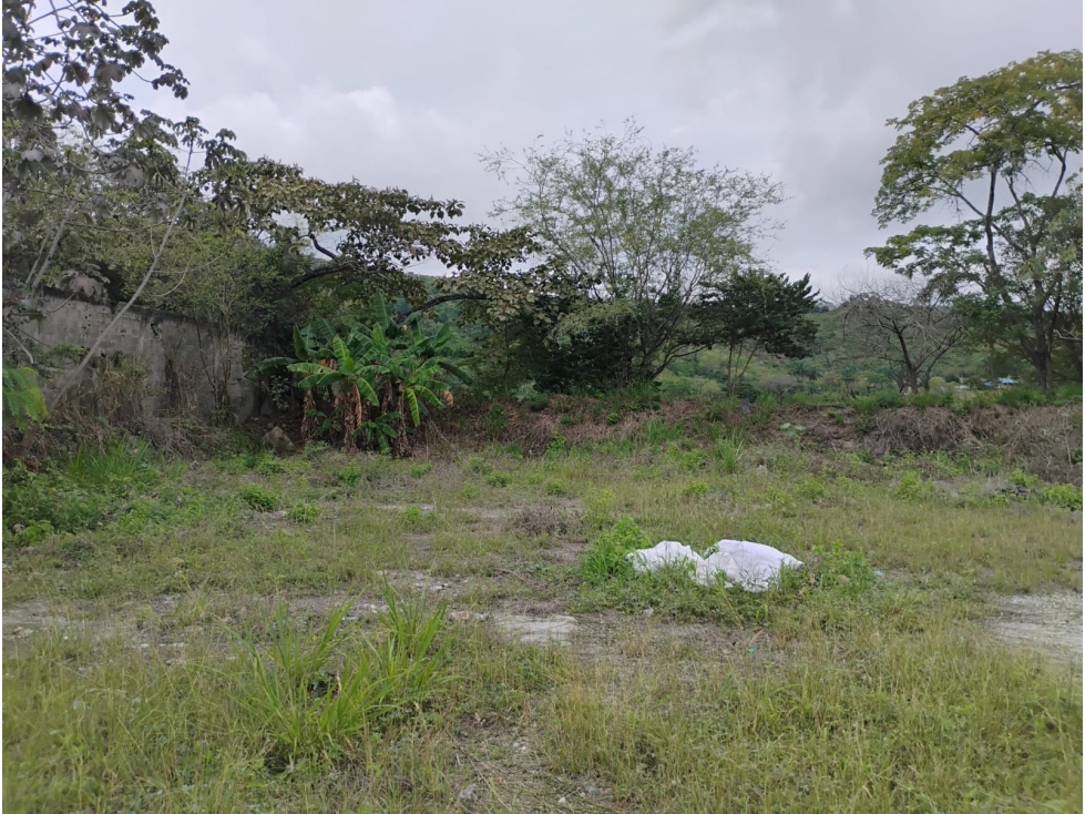 ARRIENDO LOTE INDUSTRIAL CON OFICINA - 4